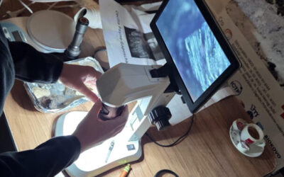 Učenici 6.b obilježili Dan planeta Zemlje